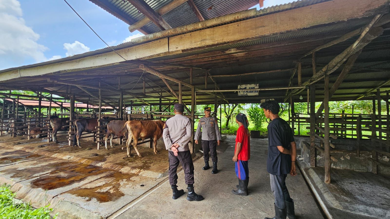 Kanitbinmas Polsek Bukit Batu Sambangi Peternakan Sapi Warga