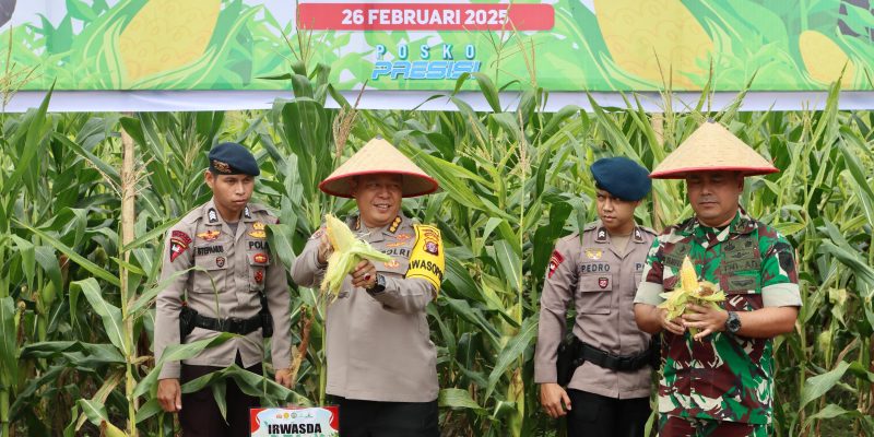 Dukung Ketahanan Pangan, Polda Kalteng Panen Raya Jagung Perdana di Lahan Seluas 1 Hektare