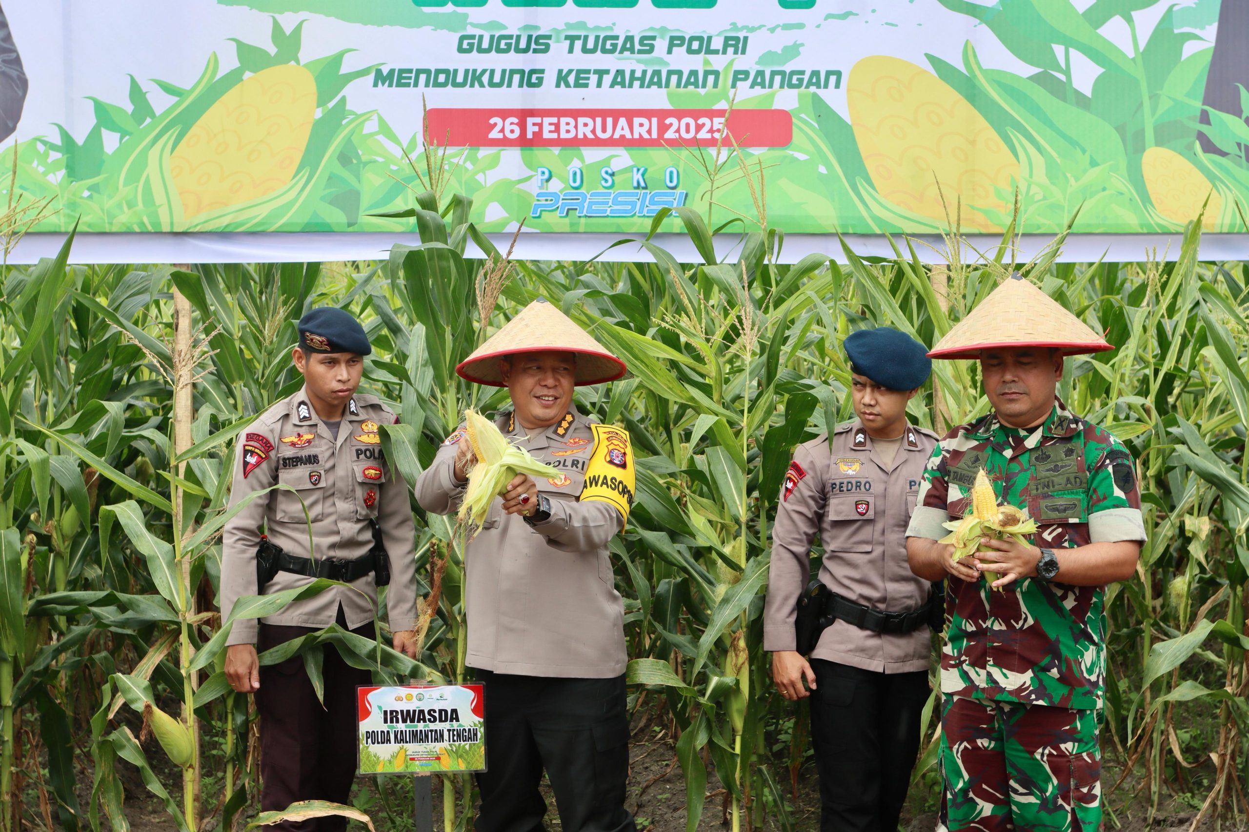 Dukung Ketahanan Pangan, Polda Kalteng Panen Raya Jagung Perdana di Lahan Seluas 1 Hektare