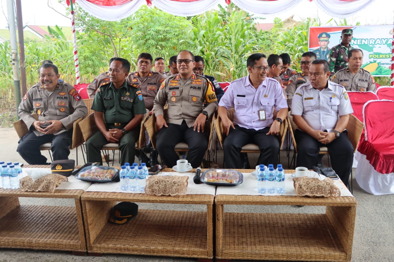 Polresta Palangka Raya bersama Unsur Forkopimda Ikuti Vicon Panen Raya Jagung Serentak