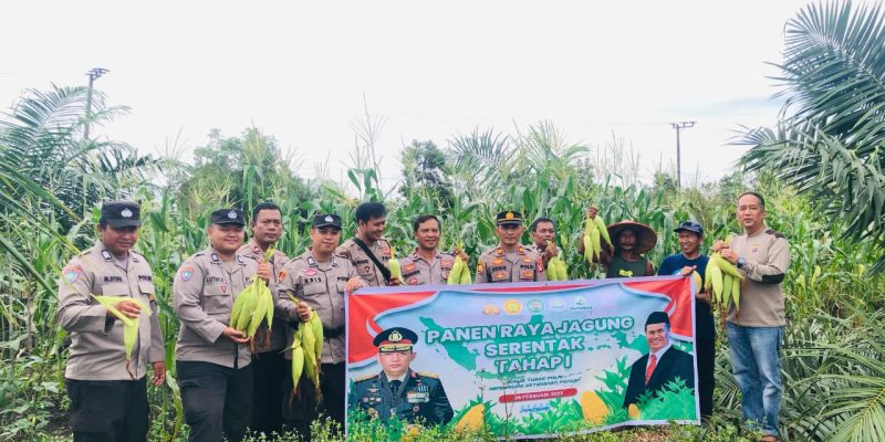 Kapolsek Rakumpit Sukseskan Panen Raya Jagung Serentak Tahap I di Petuk Bukit