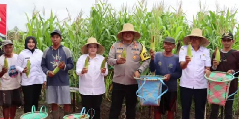 Dukung Swasembada Pangan Tahun 2025, Kapolres Kapuas Ikuti Panen Raya Jagung Serentak Tahap 1