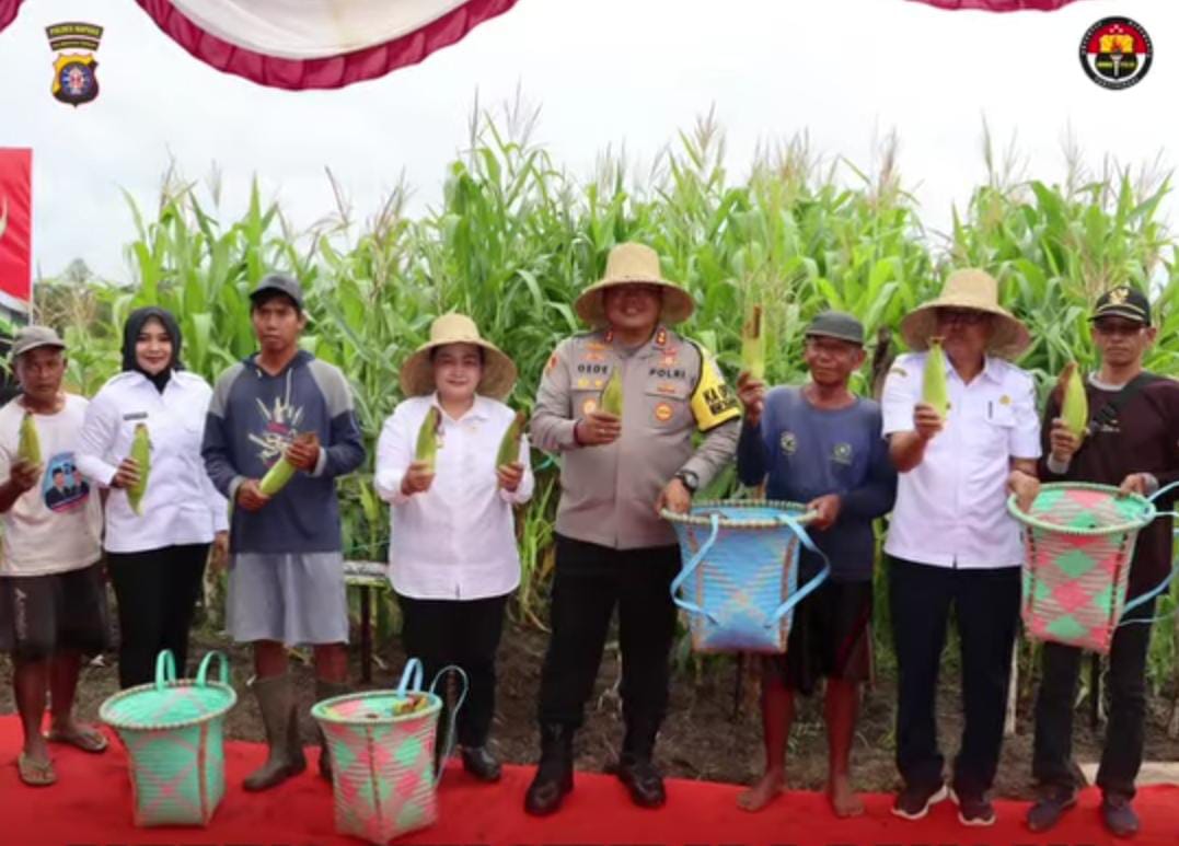 Dukung Swasembada Pangan Tahun 2025, Kapolres Kapuas Ikuti Panen Raya Jagung Serentak Tahap 1