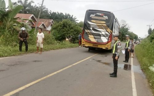 Kecelakaan Lalulintas di Jalinsum Simpang Gegas Temuan, Satlantas Polres Musi Rawas Sigap Olah TKP