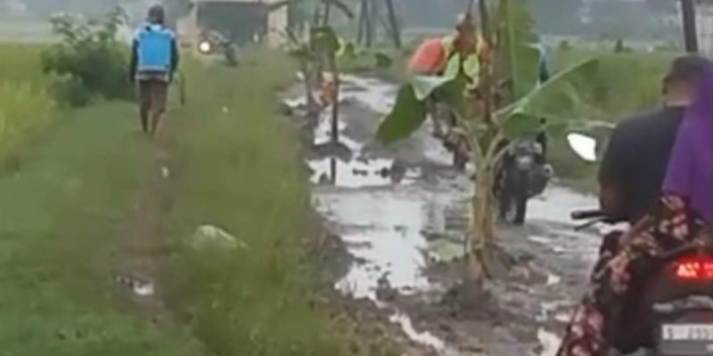 Jalan Rusak Parah di Desa Kedungkumpul, Warga Jengkel Menanami Pohon Pisang