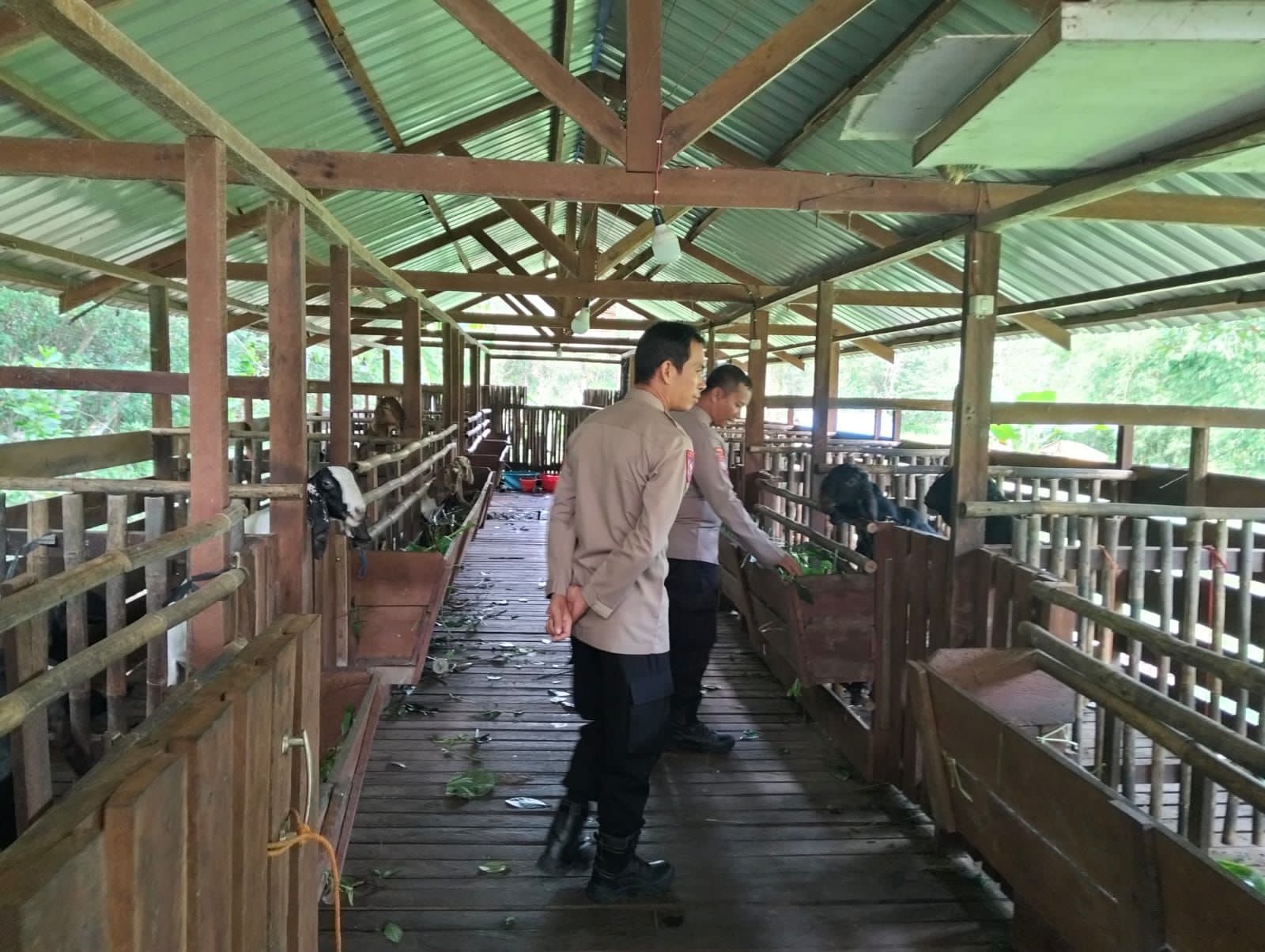 Sambangi Peternak Kambing, Polsek Bukit Batu Sosialisasikan Program Ketahanan Pangan