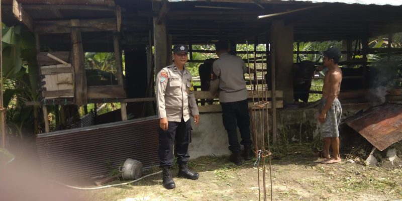 Polsek Bukit Batu Dukung Peternak Sapi dalam Penguatan Ketahanan Pangan