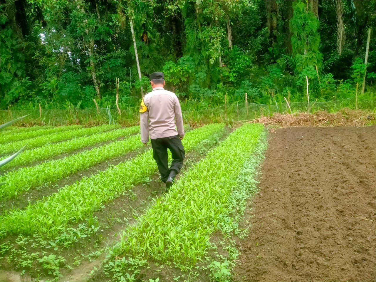 Datangi Petani Sayur Mayur, Polsek Bukit Batu Sampaikan Program Ketahanan Pangan di Tangkiling