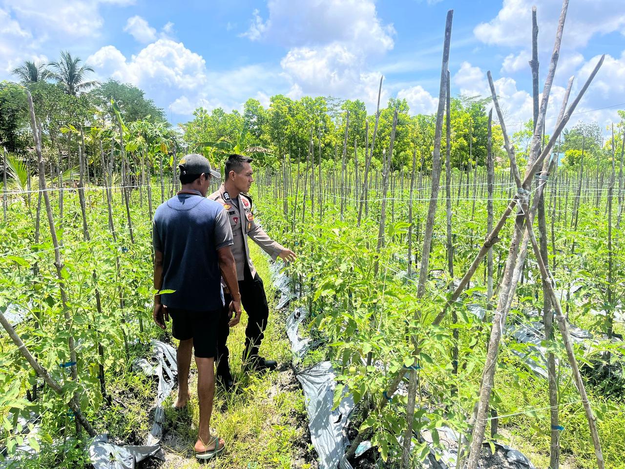 Datangi Pertanian Kelurahan Habaring Hurung, Polsek Bukit Batu Edukasikan Program Asta Cita