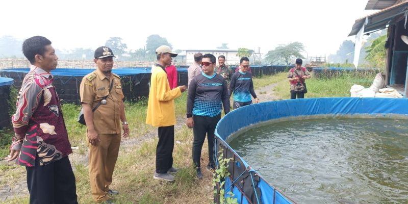 Implementasi Asta Cita, Polsek Gempol Gandeng Gapoktan Kembangkan Budidaya Lele