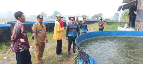 Implementasi Asta Cita, Polsek Gempol Gandeng Gapoktan Kembangkan Budidaya Lele