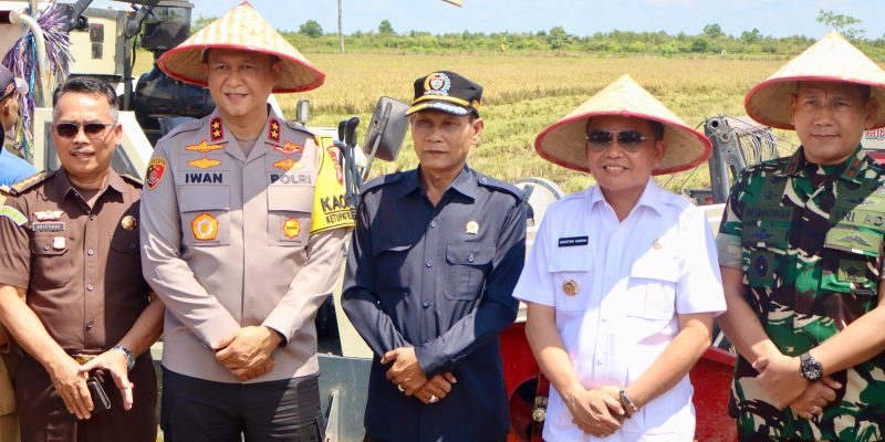 Kapolda Kalteng Bersama Gubernur dan Forkopimda Panen Raya Padi di Pulang Pisau