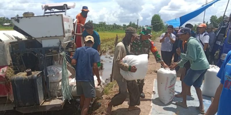 Kodim 1011/Kuala Kapuas Bersama Bulog Maksimalkan Serapan Gabah.