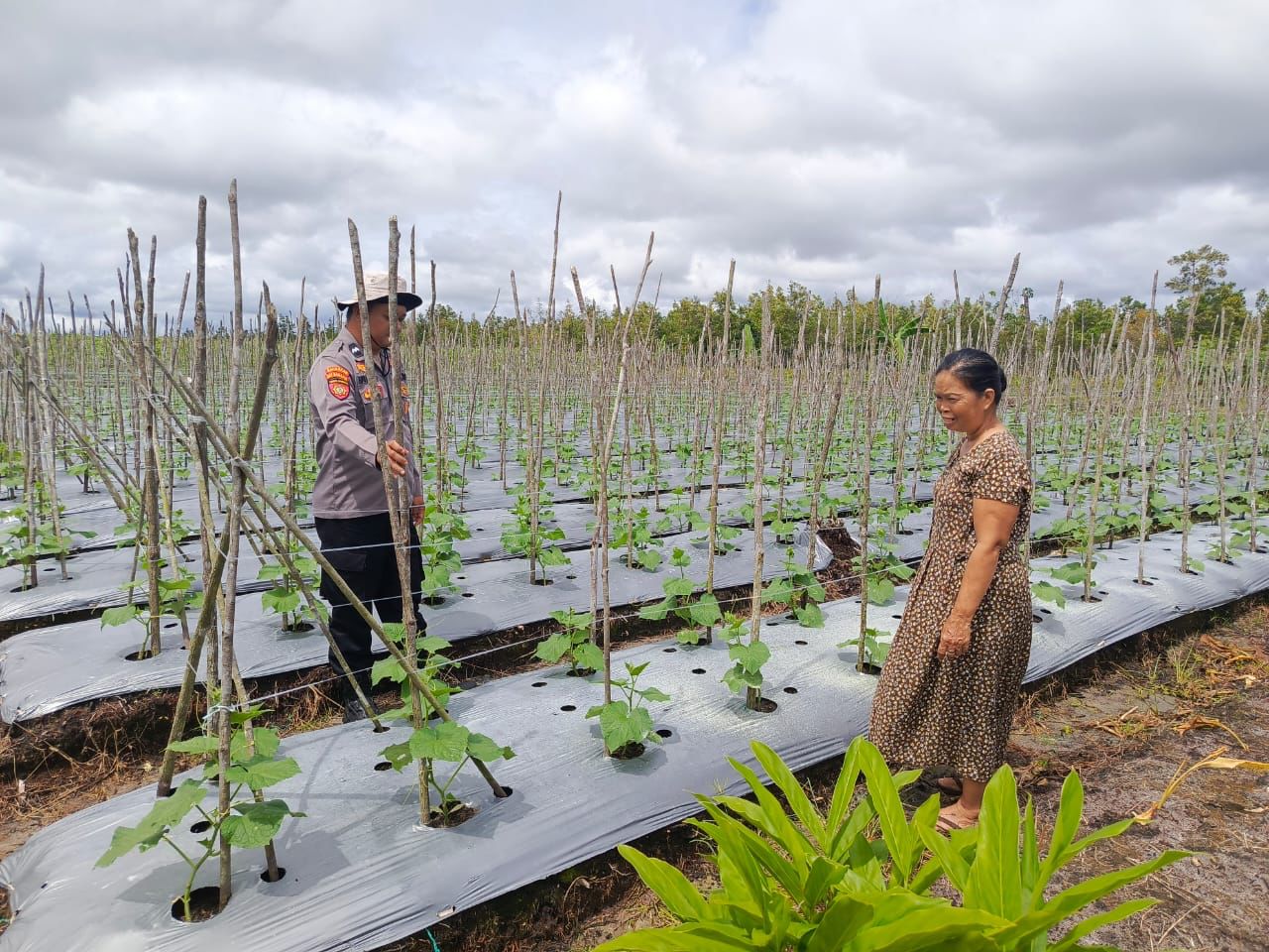 Polsek Rakumpit Ajak Warga Hidup Produktif Melalui Program Ketahanan Pangan Pekarangan Bergizi