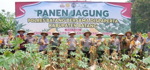 Polres Batang Panen Raya Jagung, Dukung Program Ketahanan Pangan Nasional