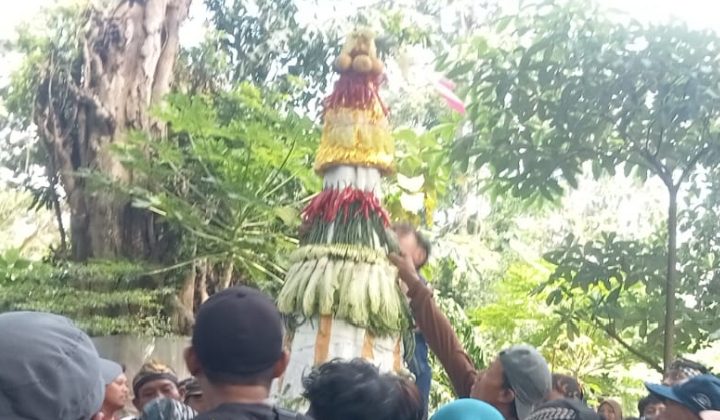 Keseruan Rebutan Tumpeng Gunung Dalam Rangka nyadran ( Sedekah Bumi ) Di Desa Kelurahan Kecamatan Ngronggot