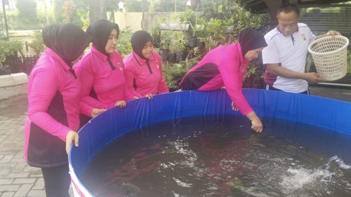 Wujutkan Asta cita dan Giat P2L, Polsek Beji Bersama Bhayangkari Wujudkan Sinergitas dan Ketahanan Pangan