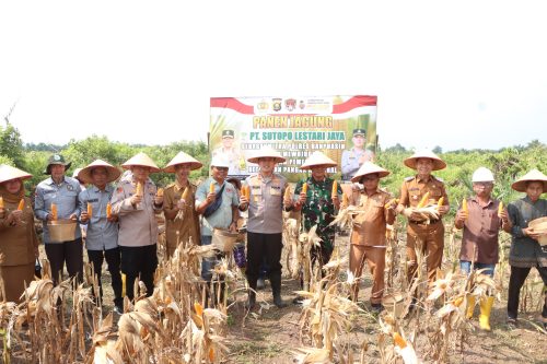 Kolaborasi Polres Banyuasin-PT SLJ Sukses Panen Jagung, Kapolres Tekankan Keberlanjutan