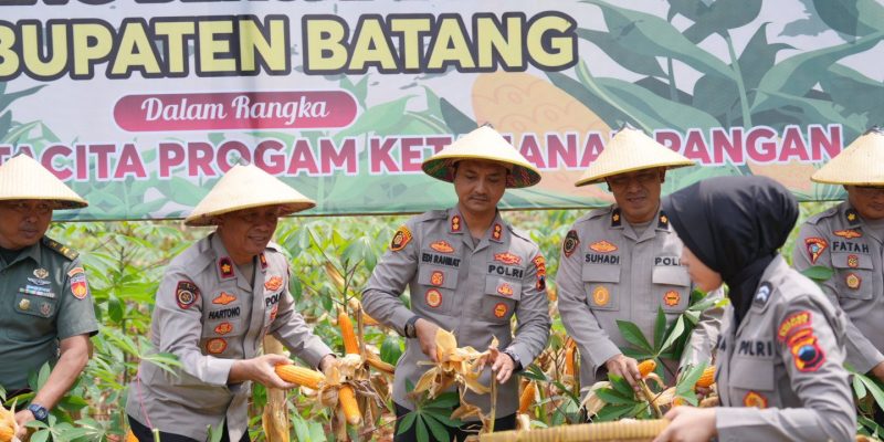 Polres Batang Gelar Panen Raya Jagung Serentak di Subah untuk Dukung Swasembada Pangan 2025
