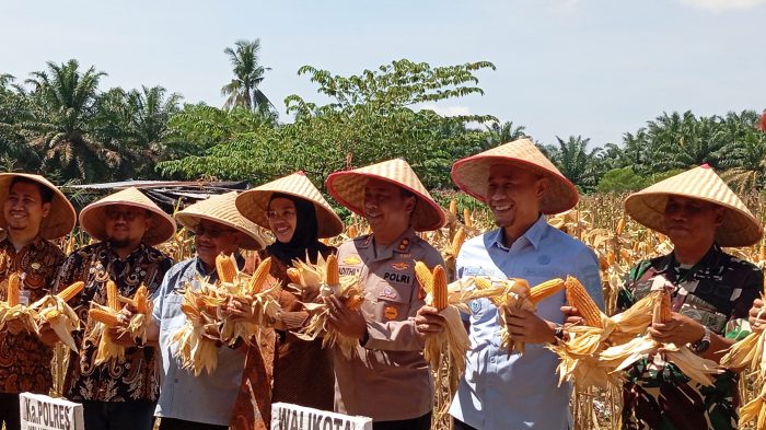 Polres Lubuklinggau Turut Kegiatan Panen Raya Mendukung Program Sembada Ketahanan Pangan Nasional