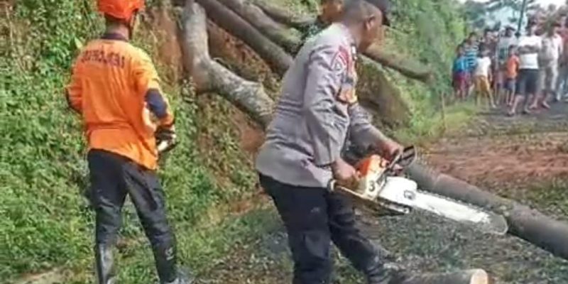 Sinergitas TNI-Polri dan Warga Evakuasi Pohon Tumbang di Karanganyar, Pekalongan