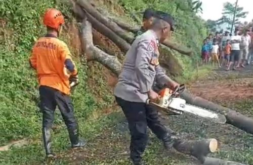 Sinergitas TNI-Polri dan Warga Evakuasi Pohon Tumbang di Karanganyar, Pekalongan