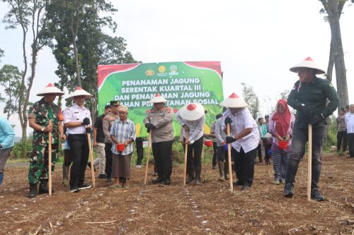 Polres Pasuruan Tanam Jagung Serentak di Lahan Perhutanan Sosial