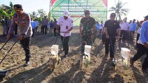 Dukung Swasembada Pangan Nasional, TNI-Polri dan Pemkab Tanam Jagung Serentak
