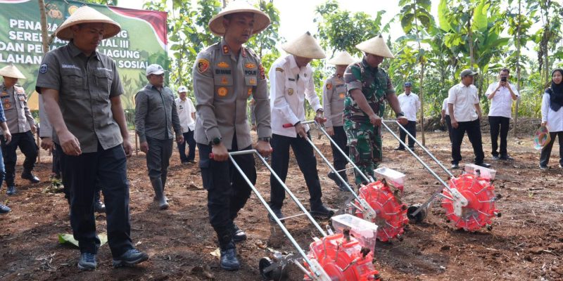 Polres Batang Tanam Jagung Serentak, Dorong Ketahanan Pangan di Lahan Perhutani