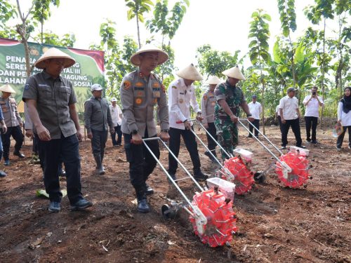 Polres Batang Tanam Jagung Serentak, Dorong Ketahanan Pangan di Lahan Perhutani