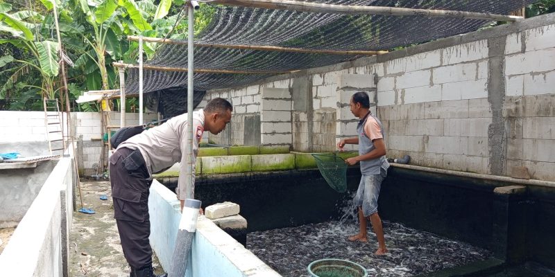 Polres Nganjuk Dukung Budidaya Ikan Lele dan Nila