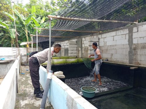 Polres Nganjuk Dukung Budidaya Ikan Lele dan Nila