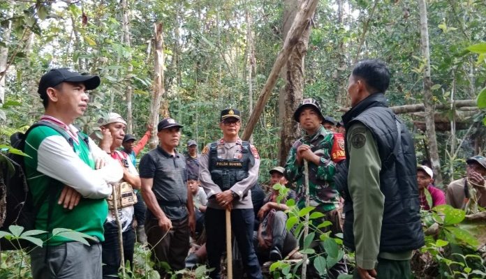 Tim Gabungan Polres Musi Rawas Identifikasi Keberadaan Beruang yang Menyerang Warga