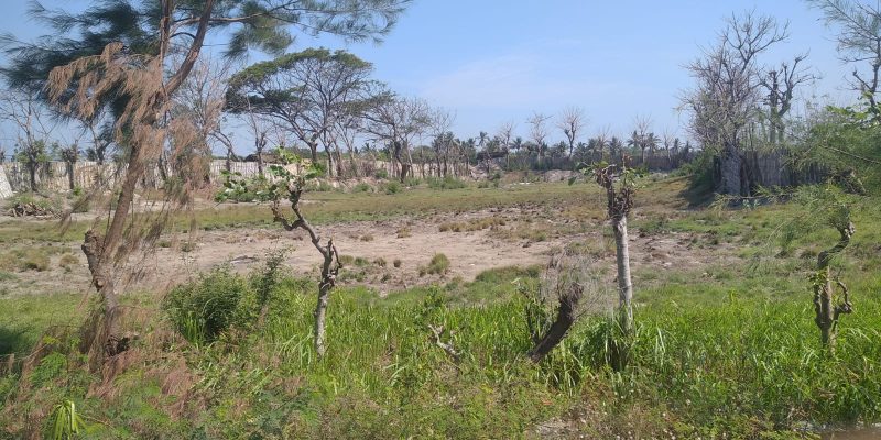Dugaan Persoalan Administrasi Persulit Hibah Tanah Kuburan di Desa Bengkak