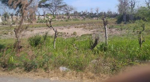 Dugaan Persoalan Administrasi Persulit Hibah Tanah Kuburan di Desa Bengkak