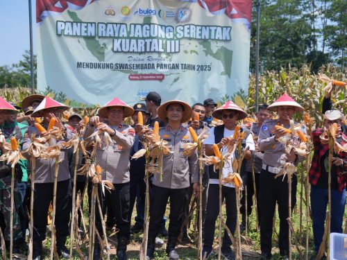 Kapolres Batang Pimpin Panen Raya Jagung di Wonotunggal, Targetkan Swasembada Pangan 2025
