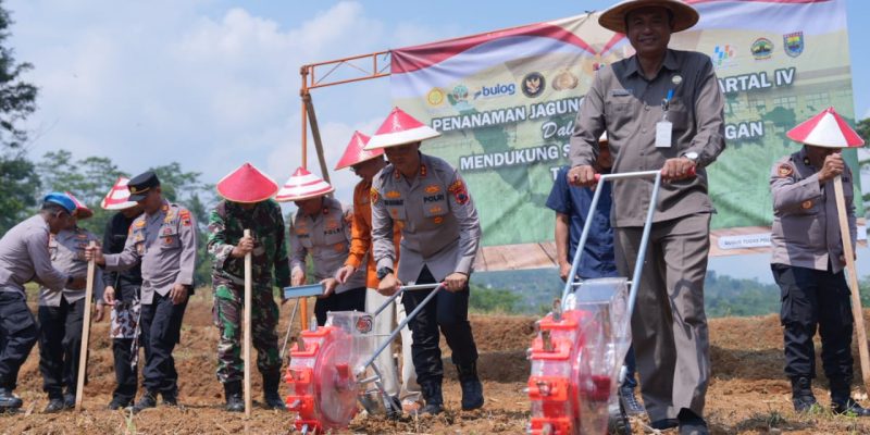 Kapolres Batang: Penanaman Jagung Ini Upaya Nyata Dukung Program Pemerintah Pusat
