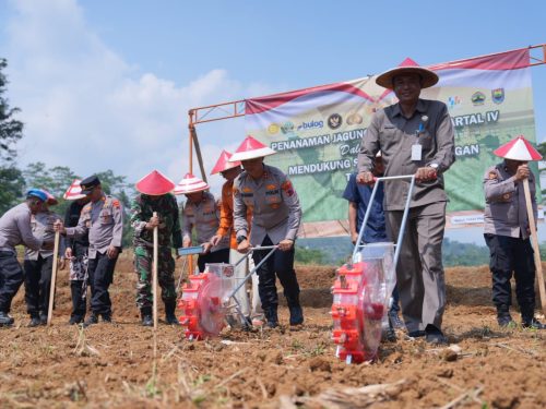 Kapolres Batang: Penanaman Jagung Ini Upaya Nyata Dukung Program Pemerintah Pusat