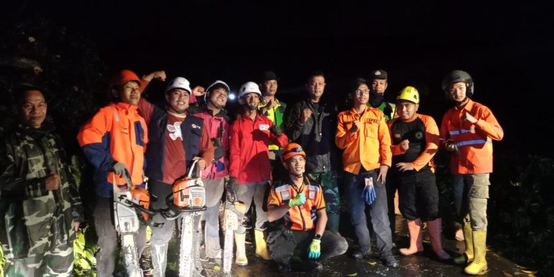 Akses Jalan Doro-Randusari Lumpuh Total, Pohon Tumbang Timpa Tiang Listrik