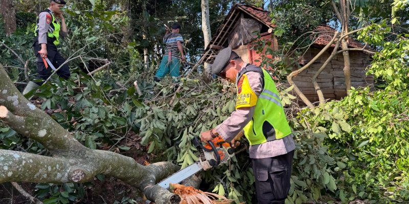 Puting Beliung Terjang Pedawang, Polsek Karanganyar dan Dalmas Gerak Cepat Evakuasi Pohon Tumbang