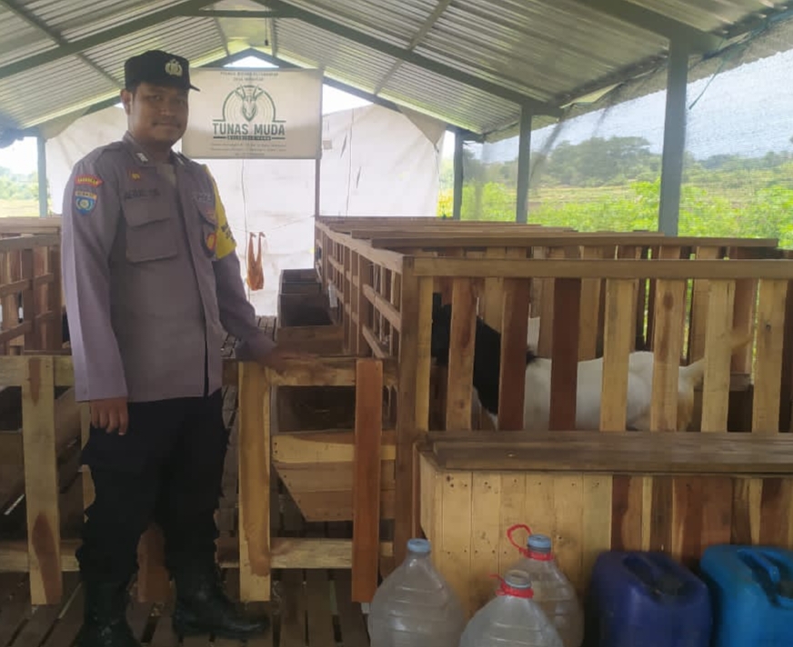 Aipda Agus, Polisi Desa Yang Sukses Jadi Peternak Domba