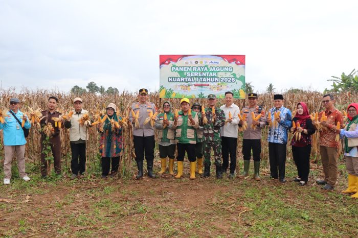 Polres Musi Rawas Bersama Stakeholder Gelar Zoom Meeting Panen Raya Jagung Kuartal IV 2025 di Desa Suro