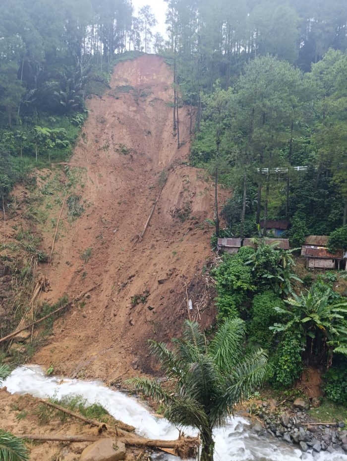 Sinergi Polsek Lebakbarang dan Warga Pasca-Longsor Dini Hari: 2 Sapi Berhasil Dievakuasi dari Timbunan