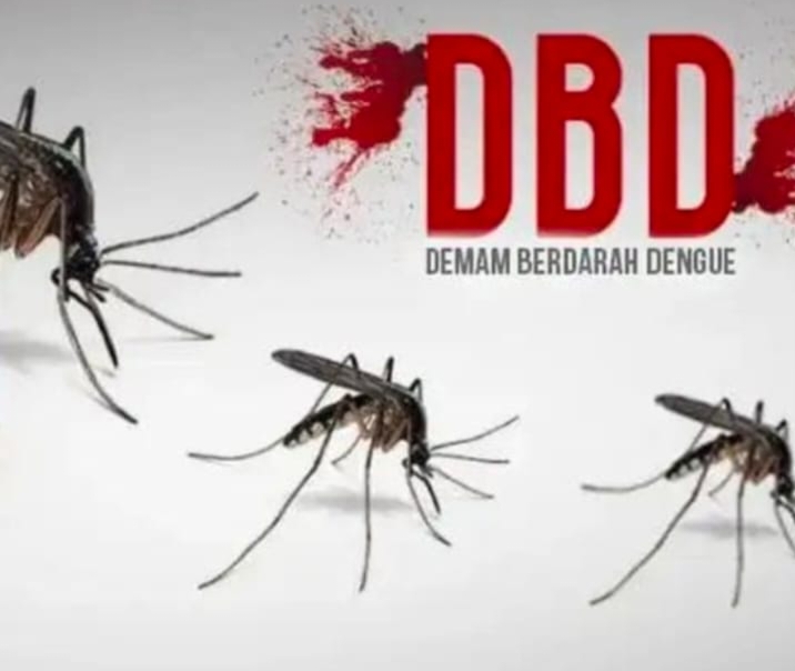 Kasus DBD Meningkat di Palangka Raya, Dinkes Keluarkan Imbauan Siaga Dini