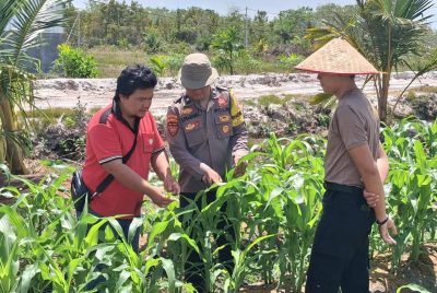 Dukung Ketahanan Pangan, Polsek Rakumpit Monitoring Lahan Jagung 7 Hektare di Pager