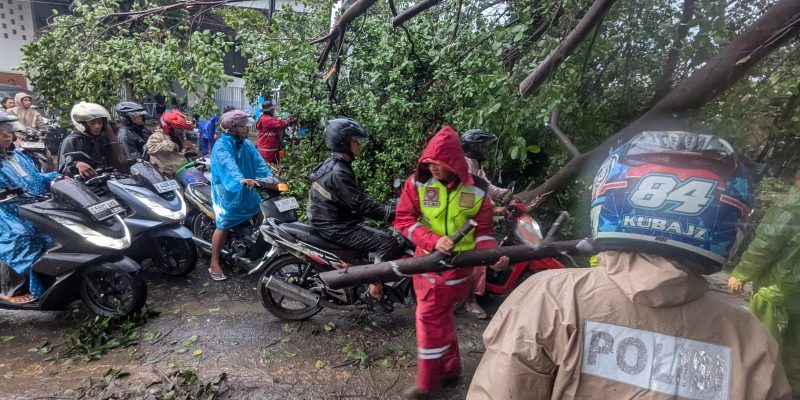 Pekalongan Diterjang Angin Kencang, Polisi dan Tim Gabungan Gercep Evakuasi Pohon Tumbang di Beberapa Kecamatan