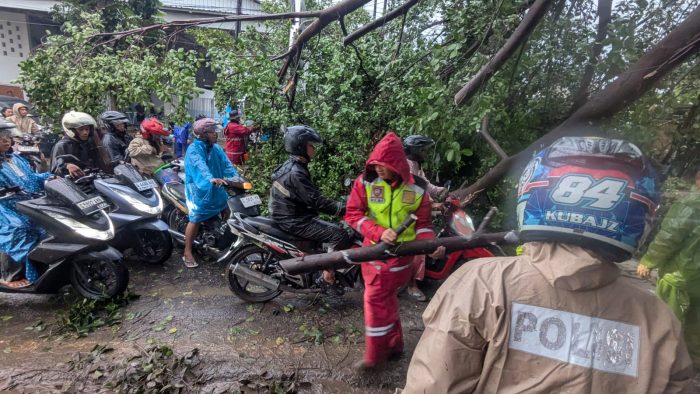 Pekalongan Diterjang Angin Kencang, Polisi dan Tim Gabungan Gercep Evakuasi Pohon Tumbang di Beberapa Kecamatan