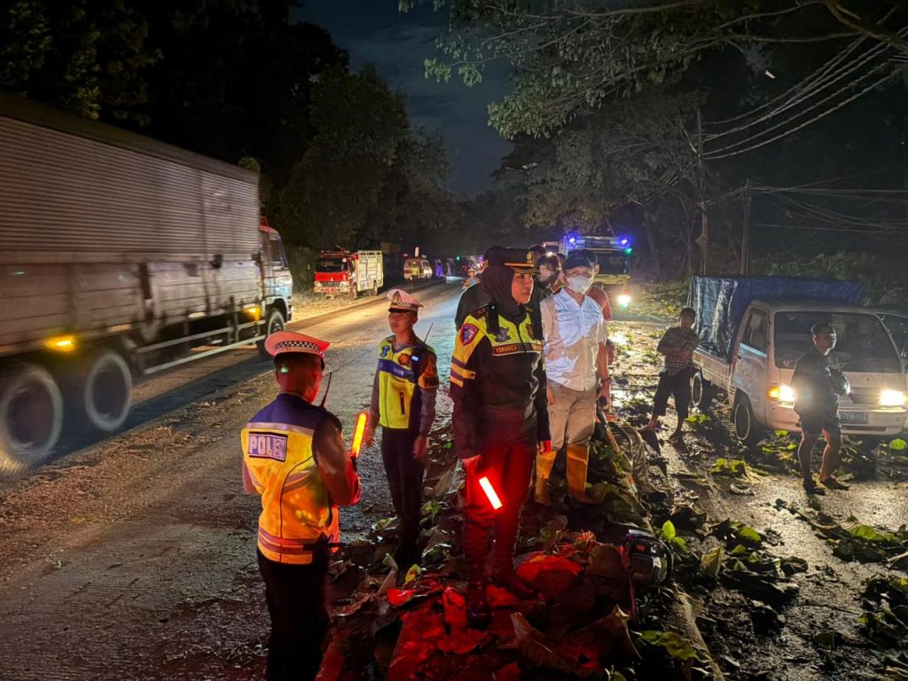 Evakuasi Hingga Tengah Malam, Jalur Pantura Subah Kembali Lancar Usai Tertutup Pohon Tumbang