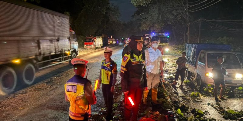 Evakuasi Hingga Tengah Malam, Jalur Pantura Subah Kembali Lancar Usai Tertutup Pohon Tumbang
