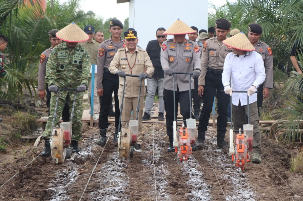 Wujudkan Ketahanan Pangan, Polda Kalteng Gandeng PT. MKM Tanam Jagung di Tengah Lahan Sawit